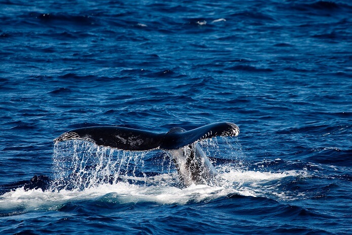 Frequently asked questions about volunteering in Cabo Verde
