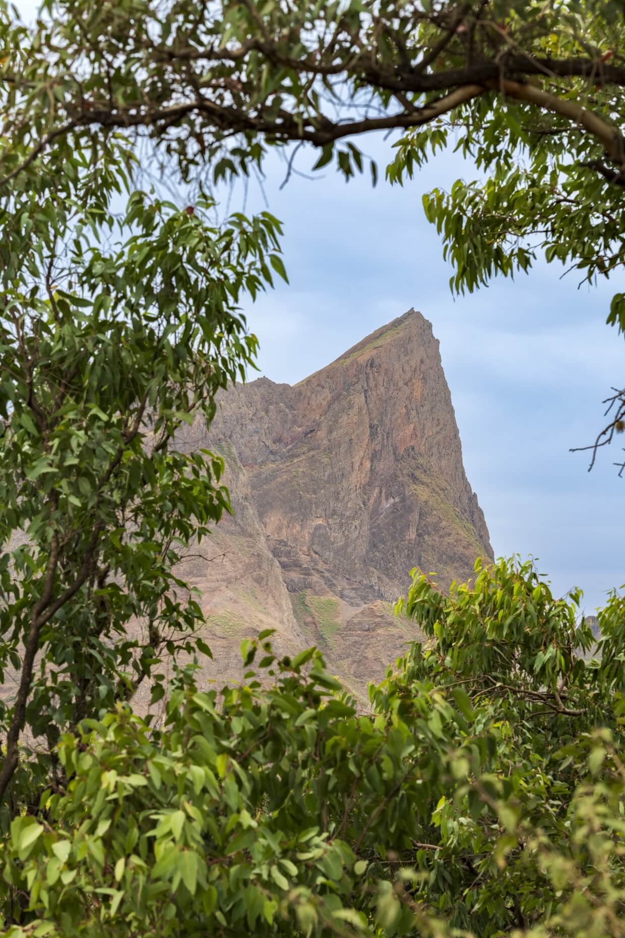 Monte Tocha / Rui Vaz (São Domingos)