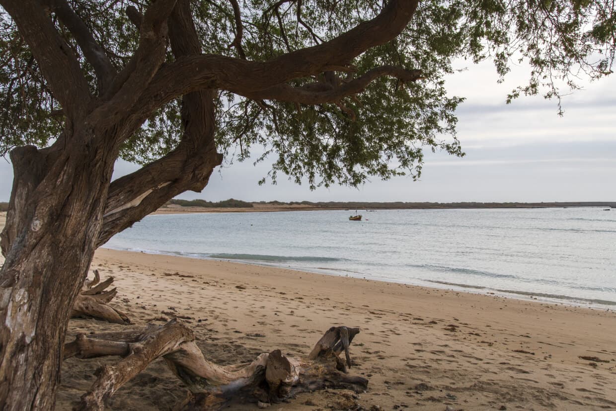 Baxona Beach
