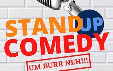 Stand Up Comedy A Burr NEH !!!